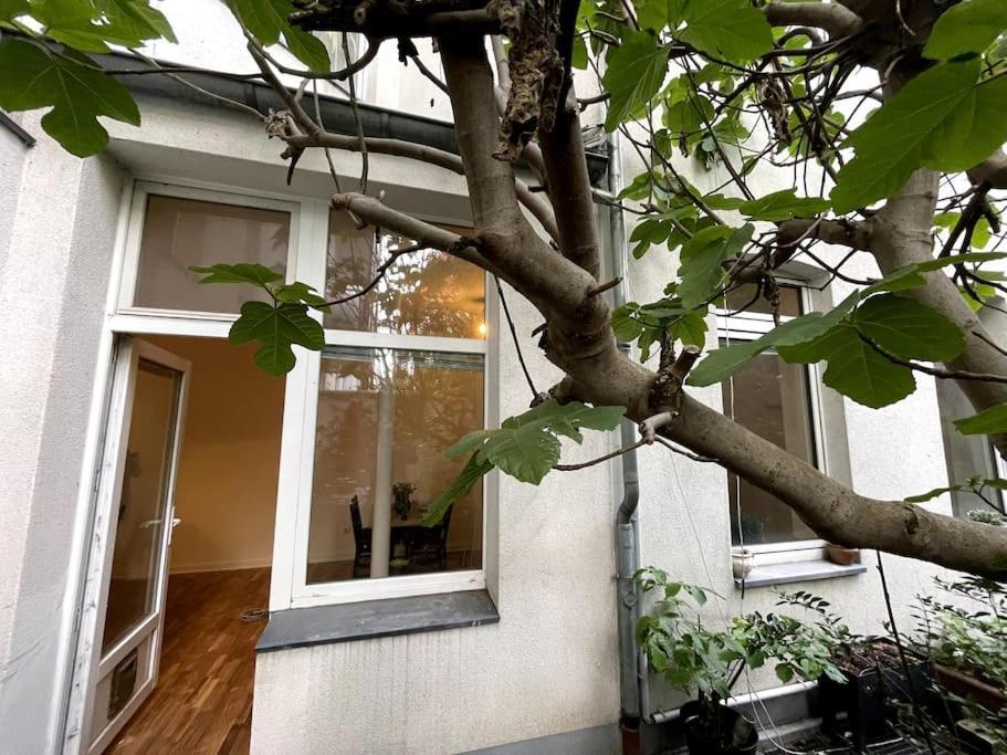 Cosy & Central Flat Near Duesseldorf Center Exterior photo